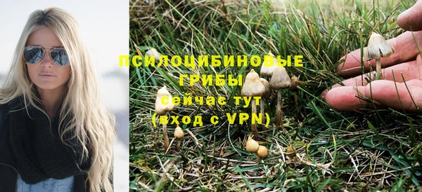 ПСИЛОЦИБИНОВЫЕ ГРИБЫ Грязи