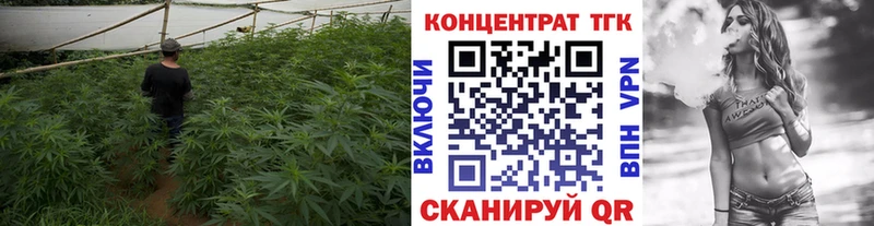 продажа наркотиков  Северо-Курильск  shop как зайти  ТГК гашишное масло 